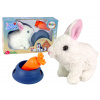 LEAN TOYS Interaktívny maskot zajačika Biely králik Miska Mrkva LEAN TOYS Interaktívny maskot zajačika Biely králik Miska Mrkva
