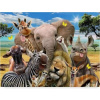 Norimpex Diamantové maľovanie Safari selfie 30 x 40 cm Norimpex Diamantové maľovanie Safari selfie 30 x 40 cm