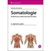 Somatologie - Markéta Křivánková Somatologie - Markéta Křivánková