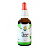 Salvia Paradise Ginkgo biloba AF tinktúra 50 ml Salvia Paradise Ginkgo biloba AF tinktúra 50 ml