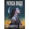 Uchvatitel duší - Patricia Briggs Uchvatitel duší - Patricia Briggs
