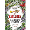 The Explorer The Explorer
