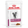 Royal Canin Veterinary Feline Renal v omáčke - hovädzie 24 x 85 g Royal Canin Veterinary Feline Renal v omáčke - hovädzie 24 x 85 g