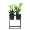 Stojan na kvety - Kovový kvetinový stojan Ugo 60x50cm Black Loft (Stojan na kvety - Kovový kvetinový stojan Ugo 60x50cm Black Loft) Stojan na kvety - Kovový kvetinový stojan Ugo 60x50cm Black Loft (Stojan na kvety - Kovový kvetinový stojan Ugo 60x50cm Black Loft)