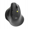 NoName PORT CONNECT ERGO SOFT COLLECTION/Vertikálna/Optická/Pre pravákov/1 600 DPI/USB+BT/Čierna 910200 NoName PORT CONNECT ERGO SOFT COLLECTION/Vertikálna/Optická/Pre pravákov/1 600 DPI/USB+BT/Čierna 910200