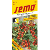 Rajčiny BEJBÍNEK F1 40s 3164 SEMO Rajčiny BEJBÍNEK F1 40s 3164 SEMO