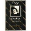 Coco Chanel - Pohled zblízka - Chaneyová Lisa Coco Chanel - Pohled zblízka - Chaneyová Lisa
