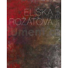 Eliška Rožátová. Tvorba z let 1964-2024 | Musilová Helena, Bárta Jaroslav (ed.) Eliška Rožátová. Tvorba z let 1964-2024 | Musilová Helena, Bárta Jaroslav (ed.)