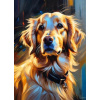 Diamantové maľovanie Norimpex 40x30 cm Zlatý retriever vo farebnom svetle Diamantové maľovanie Norimpex 40x30 cm Zlatý retriever vo farebnom svetle