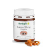 Herbafit Lutein 20 mg 90 kapslí Herbafit Lutein 20 mg 90 kapslí
