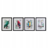 DKD Home Decor obraz Tropický papagáj (35 x 2,5 x (Obrázok DKD DOMOV DECON DETOR TROPICKÝ PARROT 35 x 2 5) DKD Home Decor obraz Tropický papagáj (35 x 2,5 x (Obrázok DKD DOMOV DECON DETOR TROPICKÝ PARROT 35 x 2 5)