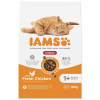 Iams Cat Adult IND Kuracie Mäso 10 kg Iams Cat Adult IND Kuracie Mäso 10 kg