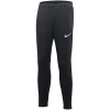 Tepláky Nike Academy Pro Pant Youth Jr DH9325 013 Tepláky Nike Academy Pro Pant Youth Jr DH9325 013