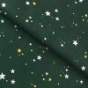 Goldea vianočná teflónová látka na obrusy - hviezdičky na zelenej 160 cm Goldea vianočná teflónová látka na obrusy - hviezdičky na zelenej 160 cm