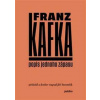 Popis jednoho zápasu - Franz Kafka Popis jednoho zápasu - Franz Kafka