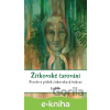 E-kniha Žítkovské čarování - Jiří Jilík E-kniha Žítkovské čarování - Jiří Jilík