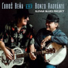 Slovak Blues Project - Beňa & Radványi Slovak Blues Project - Beňa & Radványi