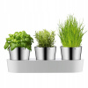 WMF Bylinková záhradka - 3 samozavlažovacie kvetináče Gourmet WMF Bylinková záhradka - 3 samozavlažovacie kvetináče Gourmet