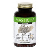 MASTICHA ACTIVE - Apothecary cps 1x100 ks MASTICHA ACTIVE - Apothecary cps 1x100 ks