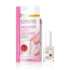 EVELINE lak na nechty pre maximálny rast 12 ml EVELINE lak na nechty pre maximálny rast 12 ml