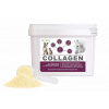 Dromy Collagen 2500 g 90 dávok Dromy Collagen 2500 g 90 dávok