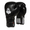 BUSHIDO Boxerské rukavice DBX B-2v9 - 10oz. BUSHIDO Boxerské rukavice DBX B-2v9 - 10oz.