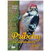 Príbehy zo slovenského lesa Príbehy zo slovenského lesa