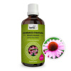 Herbavis Echinacea (Třapatka) – Bylinná tinktura, 50 ml Herbavis Echinacea (Třapatka) – Bylinná tinktura, 50 ml