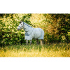 HORSEWARE Deka proti hmyzu Newmarket Plus Horseware, s krkom, witney navy Dĺžka chrbta: 145 cm HORSEWARE Deka proti hmyzu Newmarket Plus Horseware, s krkom, witney navy Dĺžka chrbta: 145 cm