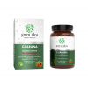 Green idea Guarana bylinný extrakt - tobolky 60 ks Green idea Guarana bylinný extrakt - tobolky 60 ks