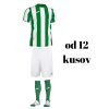 Futbalová sada Joma Inter pre celé mužstvo, od 12 ks, zelená / biela počet ks v sade: 12 hráčskych setov Futbalová sada Joma Inter pre celé mužstvo, od 12 ks, zelená / biela počet ks v sade: 12 hráčskych setov