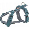 Trixie Premium trekking, postroj pre psa, petrol/grafit, M: 53-64 cm/20 mm Trixie Premium trekking, postroj pre psa, petrol/grafit, M: 53-64 cm/20 mm