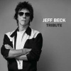 LP Jeff Beck: Tribute (black Friday Rsd 2023) LP Jeff Beck: Tribute (black Friday Rsd 2023)
