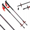 PALICE VIKINGOVIA SPIDER SKI TOUR CARBON (PALICE VIKINGOVIA SPIDER SKI TOUR CARBON) PALICE VIKINGOVIA SPIDER SKI TOUR CARBON (PALICE VIKINGOVIA SPIDER SKI TOUR CARBON)