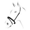 Nánosník anglický Equestro Farba: Čierna, Veľkosť: full Nánosník anglický Equestro Farba: Čierna, Veľkosť: full