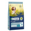 BZT BOZITA Original Sensitive Digestion Lamb and rice - suché krmivo pre psov - 12kg BZT BOZITA Original Sensitive Digestion Lamb and rice - suché krmivo pre psov - 12kg