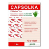CAPSOLKA hrejivá kapsaicínová náplasť s ALOE VERA 13 x 18 cm, 1 ks CAPSOLKA hrejivá kapsaicínová náplasť s ALOE VERA 13 x 18 cm, 1 ks