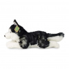 Rappa Plyšový pes husky 36 cm ECO-FRIENDLY Rappa Plyšový pes husky 36 cm ECO-FRIENDLY