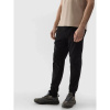 Pants 4F M 4FWSS24TTROM646-20S (194237) Black XL Pants 4F M 4FWSS24TTROM646-20S (194237) Black XL