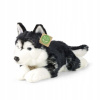 PLYŠOVÁ HRAČKA HUSKY PES REALISTICKÝ PES VLK 36 cm PLYŠOVÁ HRAČKA HUSKY PES REALISTICKÝ PES VLK 36 cm