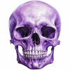Nažehlovačka Lebka fialová - 9 x 12 cm Nažehlovačka Lebka fialová - 9 x 12 cm