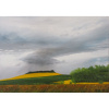 Letná búrka-Minár Marek - Artdiela L (do veľkosti 95x95cm) Viac farieb Letná búrka-Minár Marek - Artdiela L (do veľkosti 95x95cm) Viac farieb