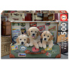Educa puzzle Pupies in the Luggage 500 dielov a fix lepidlo 17645 Educa puzzle Pupies in the Luggage 500 dielov a fix lepidlo 17645