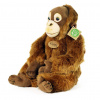 Rappa Plyšová opice orangutan 27 cm ECO-FRIENDLY Rappa Plyšová opice orangutan 27 cm ECO-FRIENDLY