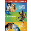 Cats and Dogs 1 to 3 Collection DVD Cats and Dogs 1 to 3 Collection DVD