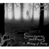 Tribute to Dissolving of Prodigy: In Memory of Fusaty (Digipack CD) Tribute to Dissolving of Prodigy: In Memory of Fusaty (Digipack CD)