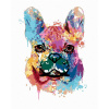 Maľovanie podľa čísel - Maľovaný buldog, 40 x 50 cm, napnuté plátno na ráme 8596530004332 Maľovanie podľa čísel - Maľovaný buldog, 40 x 50 cm, napnuté plátno na ráme 8596530004332