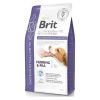 Brit Veterinary Diets GF dog Gastrointestinal-Low fat 2 kg Brit Veterinary Diets GF dog Gastrointestinal-Low fat 2 kg