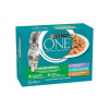 Purina One Indoor mini filetky s kuraťom teľacím tuniakom 12 x 85 g Purina One Indoor mini filetky s kuraťom teľacím tuniakom 12 x 85 g