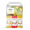 Sirup Monin pre limonádu MAXI 3x250 ml: Mango, Passion Fruit, Watermelon Sirup Monin pre limonádu MAXI 3x250 ml: Mango, Passion Fruit, Watermelon